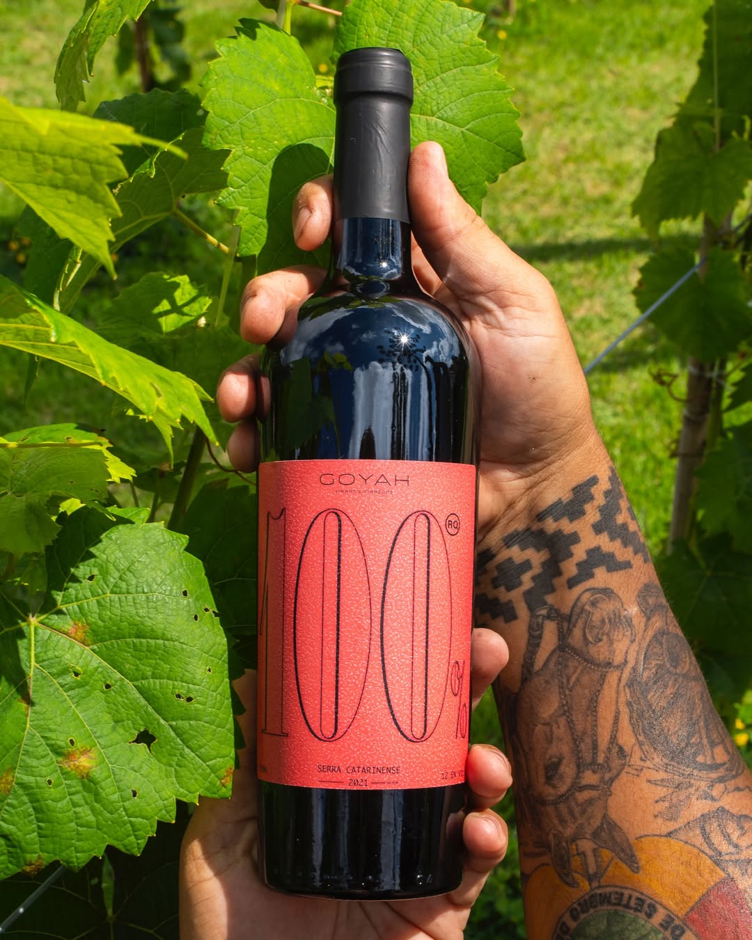 passeio de quadriciclo em Rancho Queimado