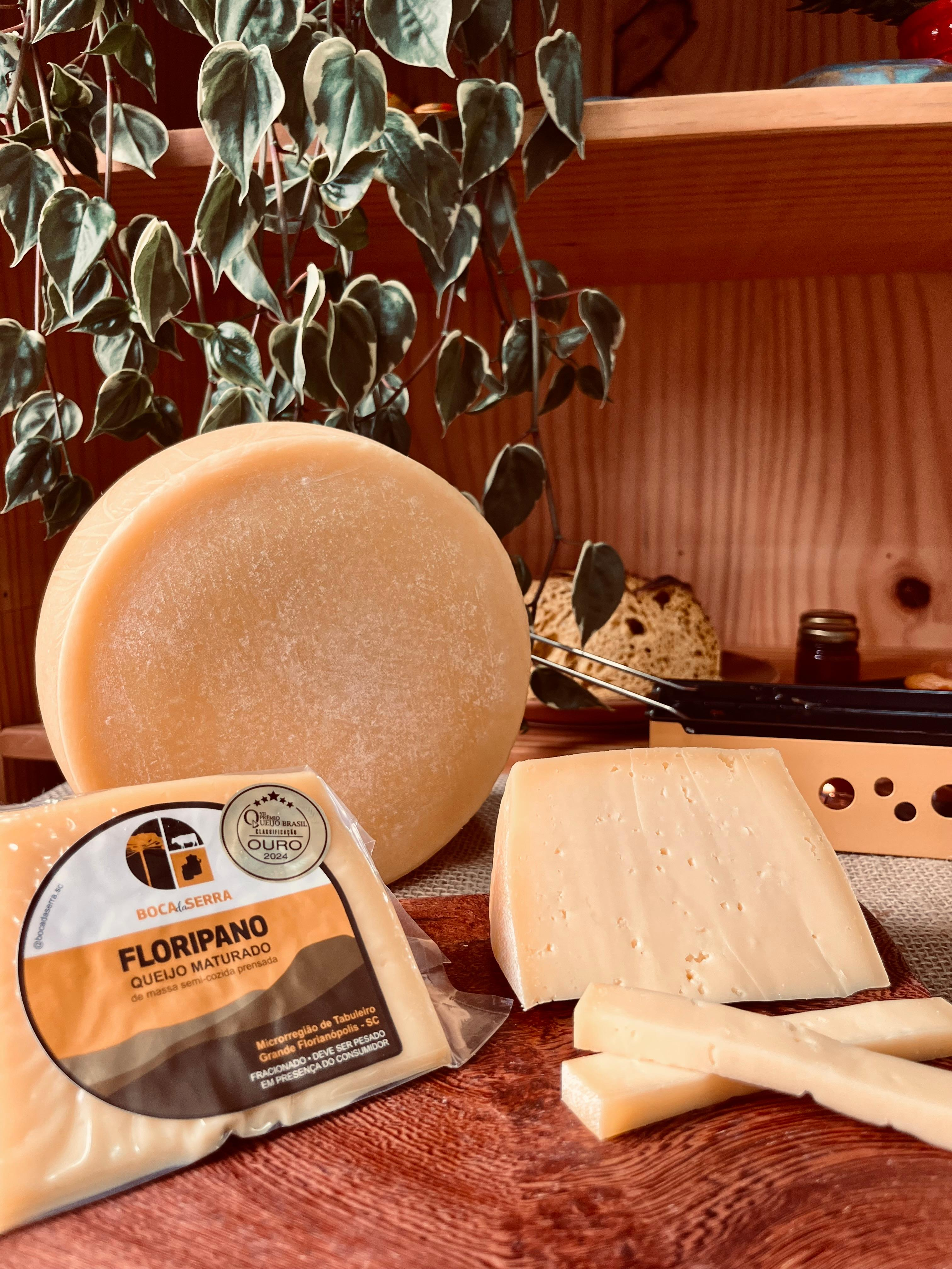 mountain cheese dairy farm, artisan cheese production, rural cheese factory